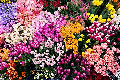 《心灵杀手2》将更注重故事和氛围 而不是血腥和跳吓