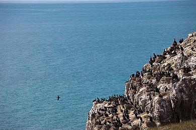 微软：10年时间足以让索尼开发出《使命召唤》竞品